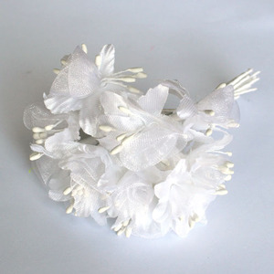 백합꽃잎/흰색